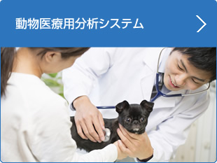 動物医療用分析システム